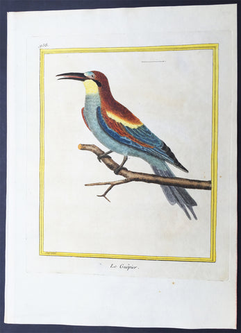 1775 Comte De Buffon Antique Imperial Ornithology Print of a European Bee Eater - Rare Imperial edition