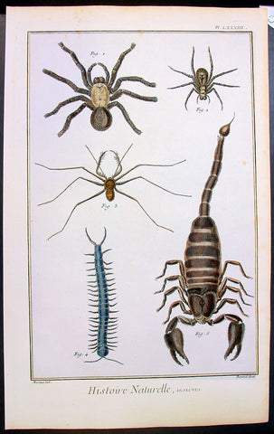 1774 Comte De Buffon Large Antique Print of Spiders, Scorpion, Centipedes