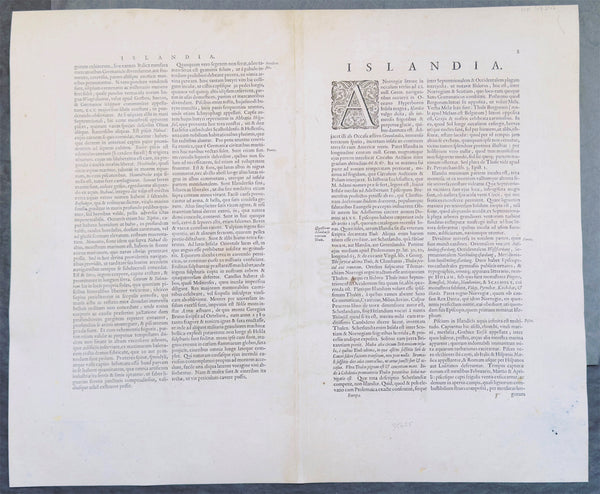 1644 Willem Blaeu Antique Map of Iceland - Beautiful Original Hand Colouring