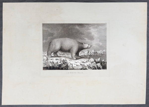 1784 James Cook 9 x Antique 1st Edition Prints of Petropavlovsk-Kamchatsky, Kamchatka Russia, 1779