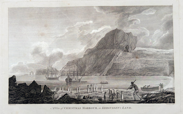 1784 James Cook & Webber Antique 1st edition Print Christmas Bay, Kerguelen Island in 1776