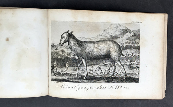 Copy of 1817 Tavernier & Lepetit Antique Atlas of Turkey Persia Vietnam, Asia - 22 Prints