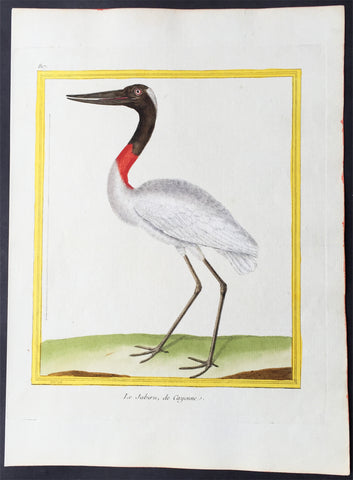 1775 Comte De Buffon Antique Imperial Ornithology Print American Jabiru, Stork - Rare Imperial edition