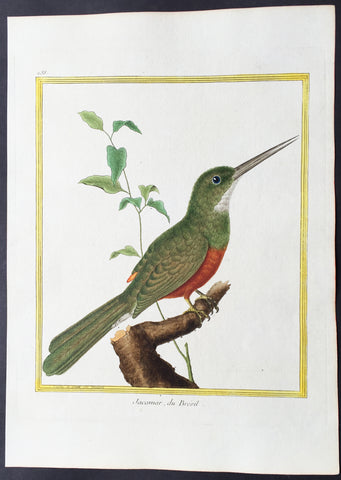 1765 De Buffon Large Folio Antique Bird Print of Rufous-Tailed Jacamar, Brasil