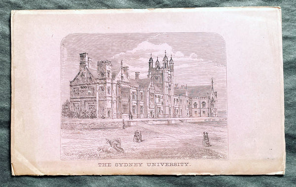 1876 Thomas & Tayler Scarce Antique Goldfields & Minerals Map of New South Wales