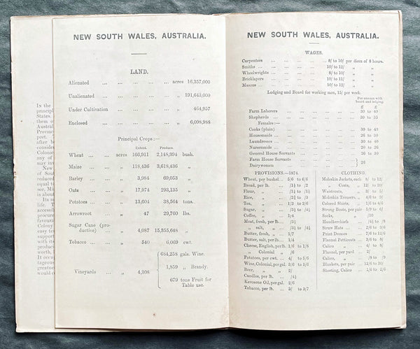 1876 Thomas & Tayler Scarce Antique Goldfields & Minerals Map of New South Wales