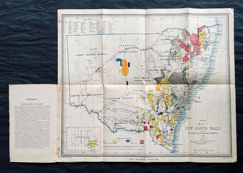 1876 Thomas & Tayler Scarce Antique Goldfields & Minerals Map of New South Wales