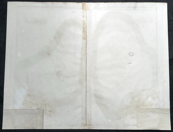 1817 John Thompson Large Antique Map Caribbean Islands of St Vincent & Barbados