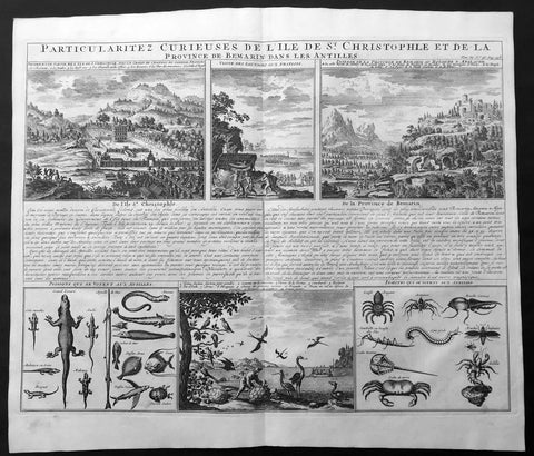 1719 Chatelain Large Antique Print of St Christopher Island, Antilles, Caribbean