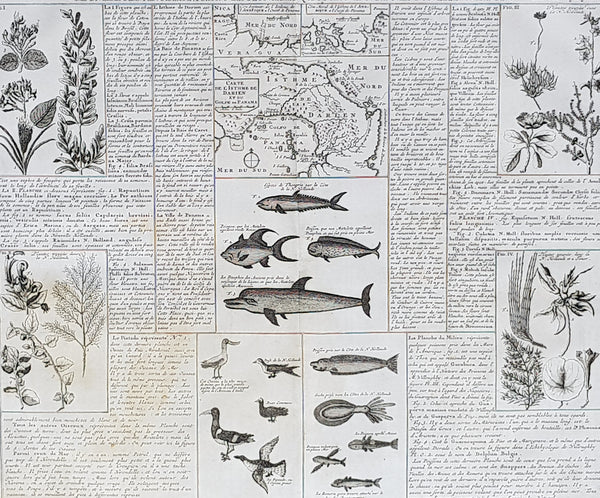 1719 Chatelain Antique Map of Panama, Flora & Fauna of Australia by William Dampier