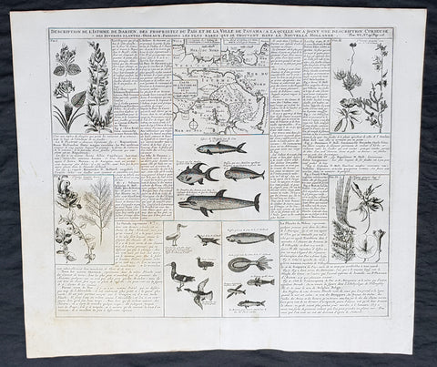 1719 Chatelain Antique Map of Panama, Flora & Fauna of Australia by William Dampier