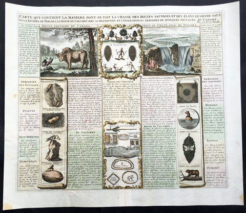 1719 Chatelain Large Antique Print Famous Buffalo Beaver Sheet