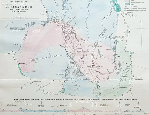 1854 Arrowsmith & Selwyn Rare Antique Goldfields Map Mt Alexander & Castlemaine, Victoria