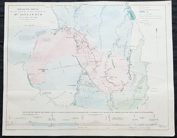 1854 Arrowsmith & Selwyn Rare Antique Goldfields Map Mt Alexander & Castlemaine, Victoria