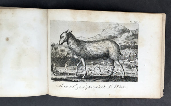 1817 Tavernier & Lepetit Antique Atlas of Turkey Persia Vietnam, Asia - 22 Prints