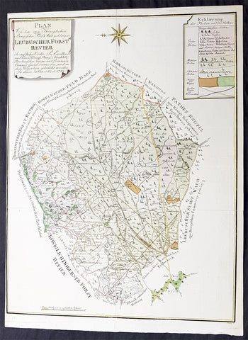 1782 G F Frentzel Large Rare Antique Map of Lubsza Forest Brzeg, Opole SW Poland